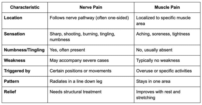 How To Tell Whether It May Be Nerve Pain or Muscle Pain